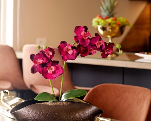 Apartment VL-005
